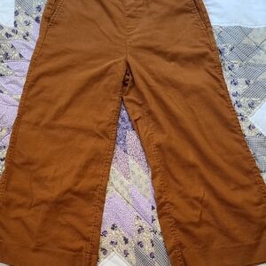 Banana Republic Rowan Wide-Leg Pants in Burnt Orange